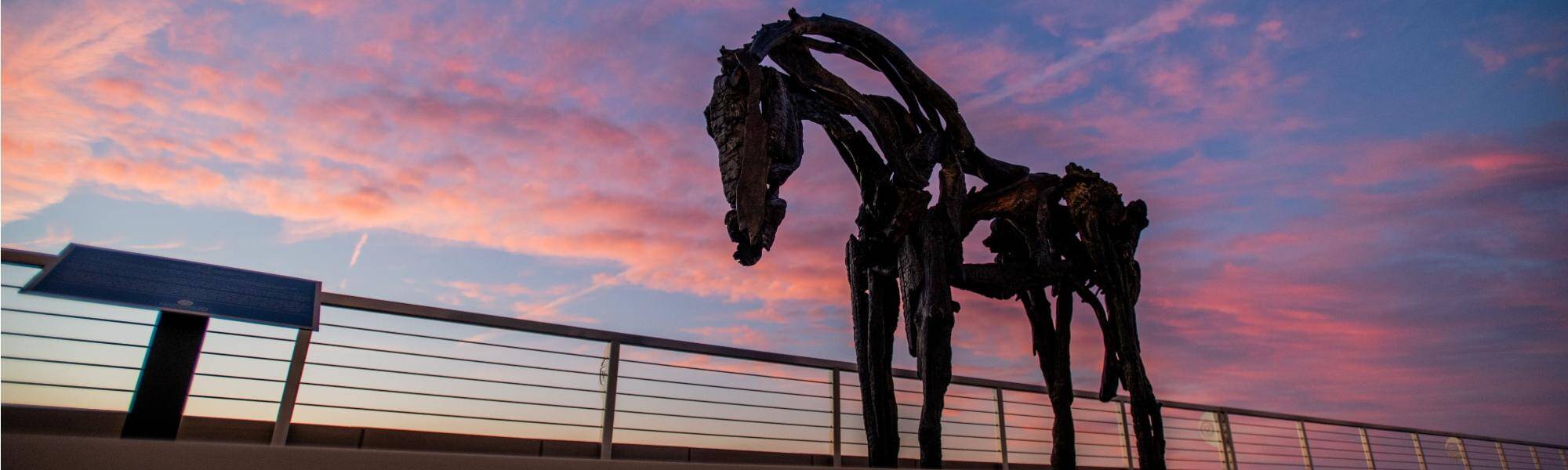 Horse sculpture on fifth floor of DCIH